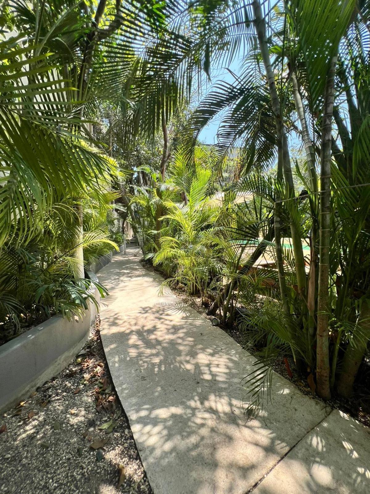 Casa Tulum Hotel Exterior photo